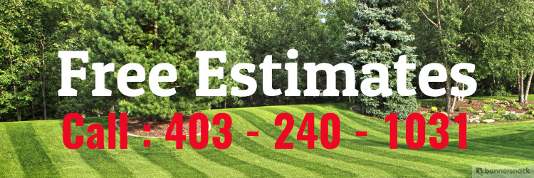 Free Lawn Service Estimates