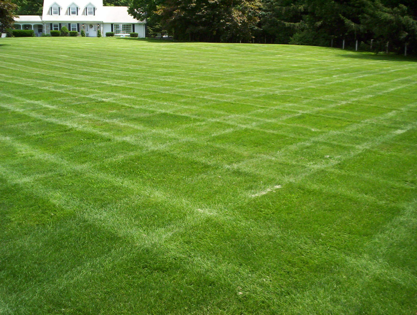Nicely Manicured Lawn