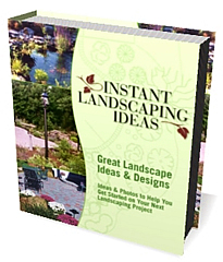 landscaping ideas